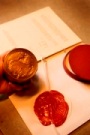 ICJ seal